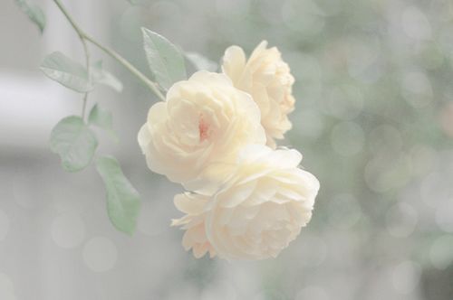 �����ж�����ǽ�赲���ܻ���һ����������������� (8)