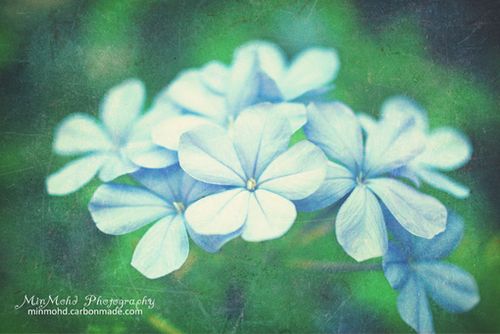 �����ھ;���ʧ��������δ����ôԶ�����ô�� (4)