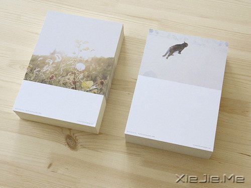 ����������������� (3)