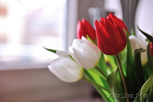 Ҫ�����Լ�����Ҫ�����Լ� (2)