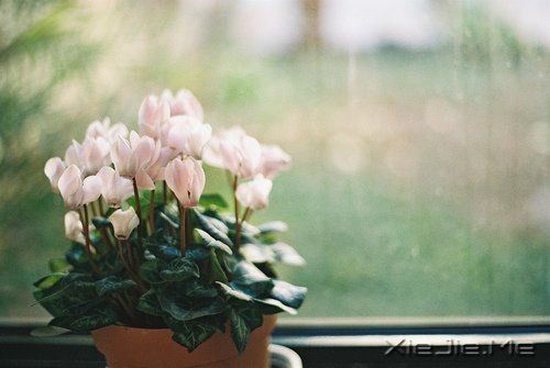 Ҫ�����Լ�����Ҫ�����Լ� (4)