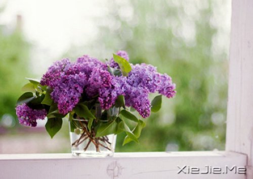 �е����㿴��һ�ۣ�ȴ������һ�� (2)