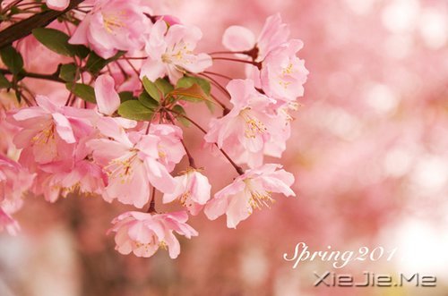 �������������Լ�һ��΢Ц (3)