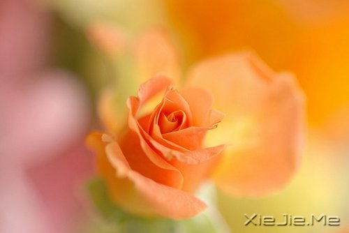 ���ƽ�ͣ�����������װ���������Ҹ� (10)