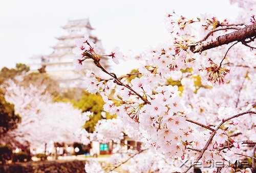 ֻҪ���Ĳ��ң����ͺ��Ѹı���ʲô (5)