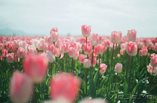 ��Ҫ���ű��˵Ľ�ӡ�����Լ���· (2)