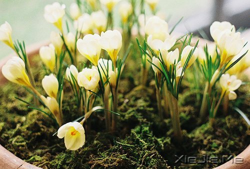 ���ۺû������춼�ᵽ�� (2)