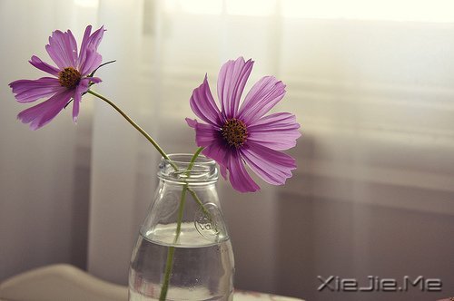 �Ҹ������Ǵ����ﶬ����Ȼ���� (7)