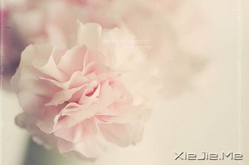 ��ֻ�ж���������֮�أ����ܿ���ʱ��֮�� (4)