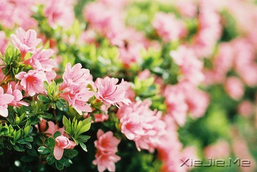 �簲�������ǰ�ߣ��㽫��Զͣ�� (9)