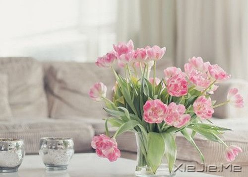 �������ÿһ���ഺ������ϣ�����ϣ�����������һֱ���� (1)