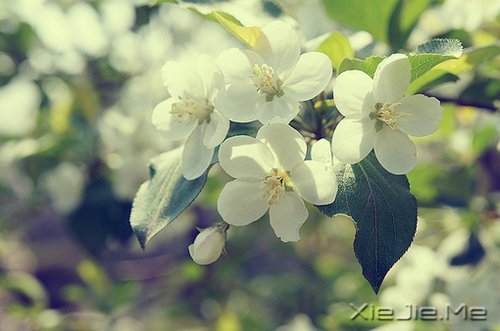 ������ᣬȴ���ӵ�з������������ (9)