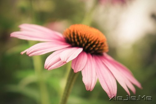 ������������������ǵ�Ȼ (3)