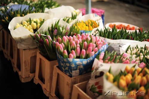 �����������Ҫ�ģ�һֱ�ܼ� (9)