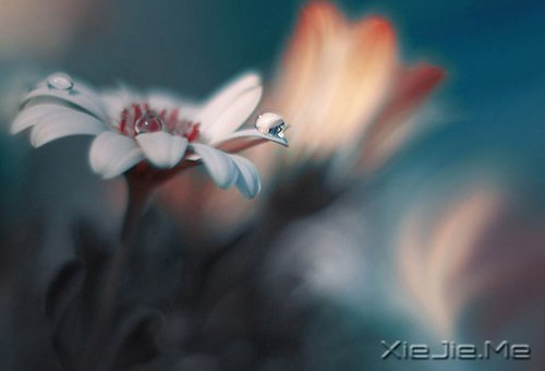 �簲���ʱ���ҧ�ˣ��㲻�߾ͻ������˺� (4)