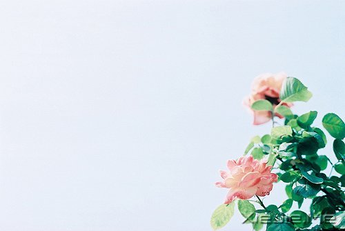 ��ɽ��ˮԶ�ĵ�·���վ���Ҫ�Լ�����ȥ (4)