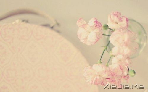 ��ɽ��ˮԶ�ĵ�·���վ���Ҫ�Լ�����ȥ (10)