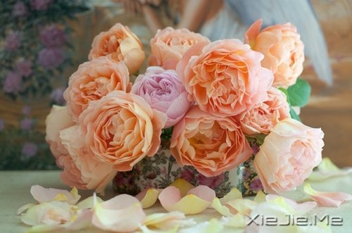 ����������������䣬�˲������� (6)