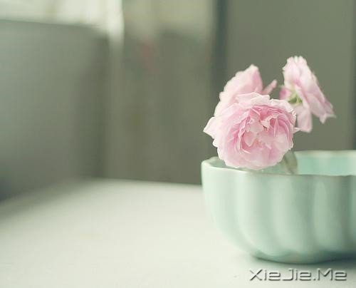 ���������Ļ��������ִܵ����ĵķ��� (8)