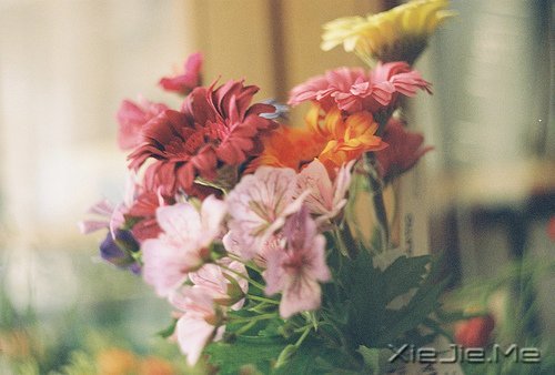 �ߵ���Ķ���������ʱ�� (5)