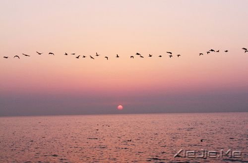 �����������������һ�ּ򵥵Ĺ켣 (8)