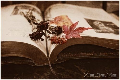 ���������������������Ϳ��ֵĹ��� (8)