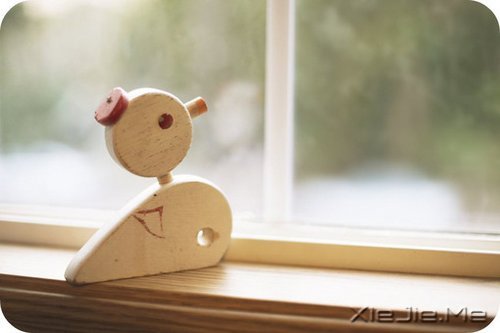 �簲�������ĺ�С����Ҫװ��̫������ (1)