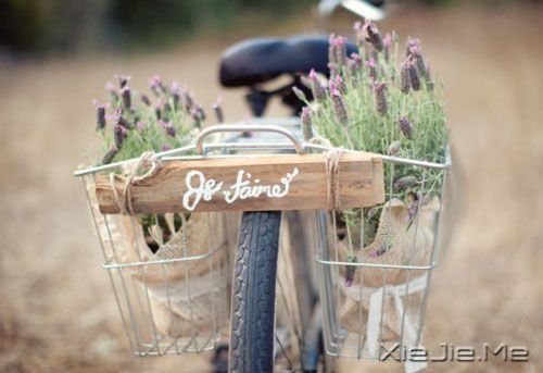 �簲���������ֻ��һ���� (9)