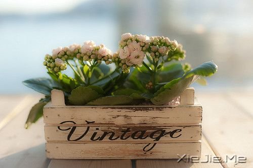 ���������Щ�²�˵����������֪�� (5)