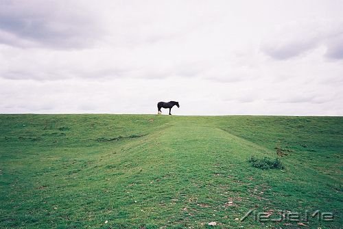 �簲������������ˣ����Ҹ���· (6)