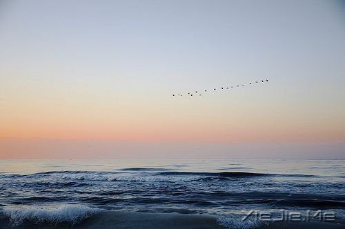 �簲���ͯ��δ������һ��ֵ�ý��������� (6)