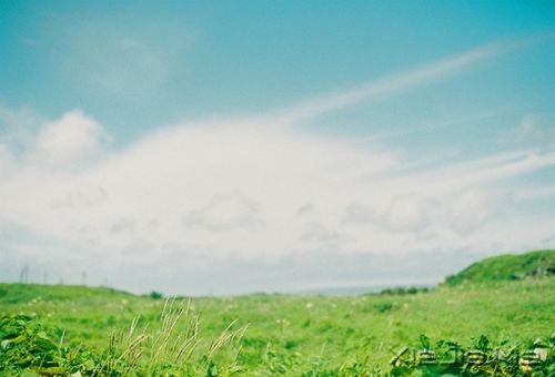 �簲���������¿࣬������ľ (9)