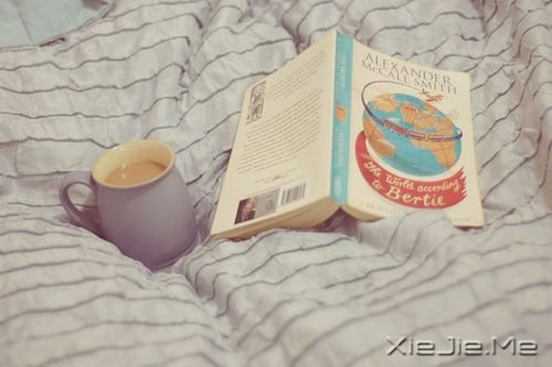 ���������Щ�����ʺ��������� (9)