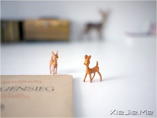 �簲���ѡһ����̬�����Լ�����޿���� (5)