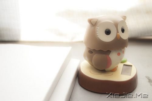 �簲������������̣�ֻ��� (1)