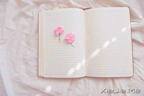 �簲��������Լ���������ֱ�� (2)