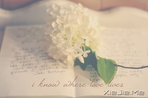 ����������䵣��δ�����������ںú�Ŭ�� (8)