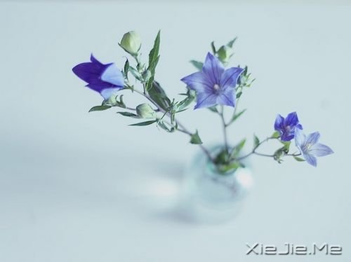 �簲�������Ůһ�����£���ү�Ƕ�һ��˼�� (2)