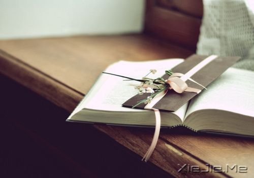 �����������ѧ����ϧ�Լ�������Ż���ϧ�� (5)