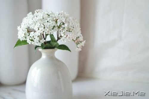 ������������ˣ���������ů�İ� (7)