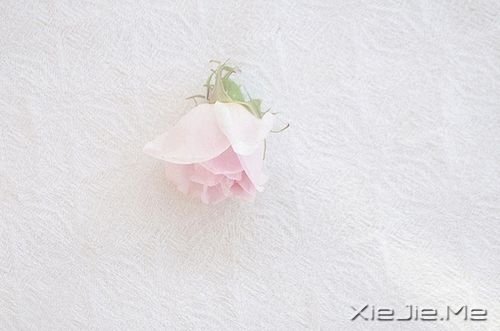 ���������һЩ��ѵû�취�̣�ֻ���Լ��������Żᶮ (10)