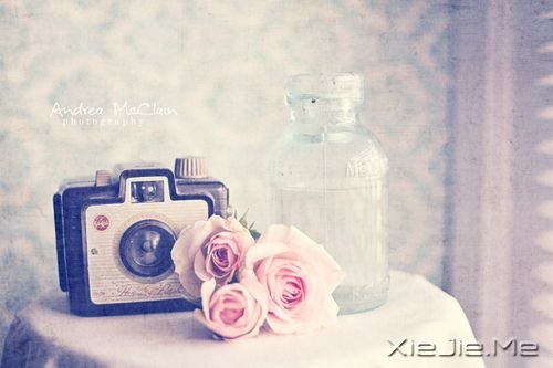 �簲�������Ҫ�ڰ����У����Ų�æ�ļ�ǿ (1)