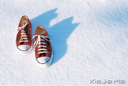 �����������������Ķ����������ͺ��� (10)