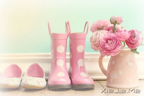 С����ͼƬ (10)