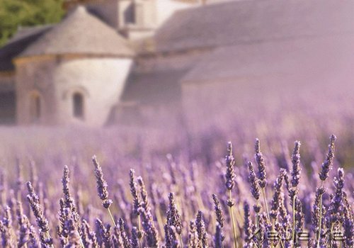 ������¼��һ���˵���ĵ��� (14)