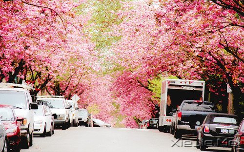 常常观自心,便会更智慧 (4)