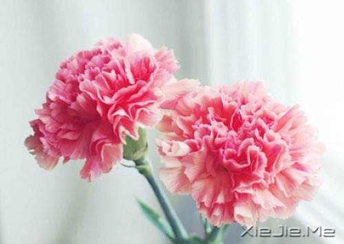 读懂人生,富有哲理的座右铭 (1)