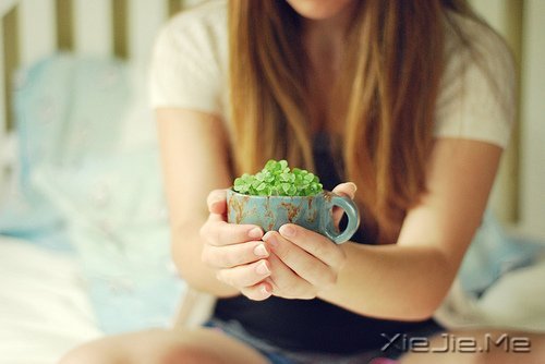 2014�����Լ���ʮ�仰 (3)