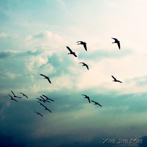 �������������С· (6)